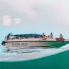 Phi Phi islands 15 1