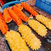 Phi Phi islands 19