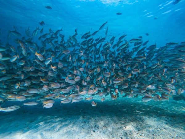 Phi Phi islands 26