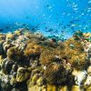 Phi Phi islands 27