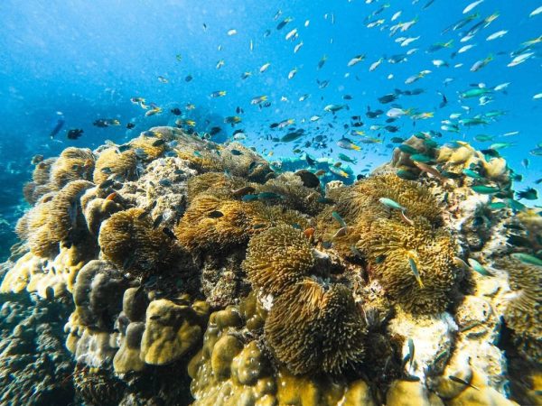 Phi Phi islands 27